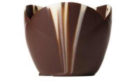 Crocus cups chocolade marbré