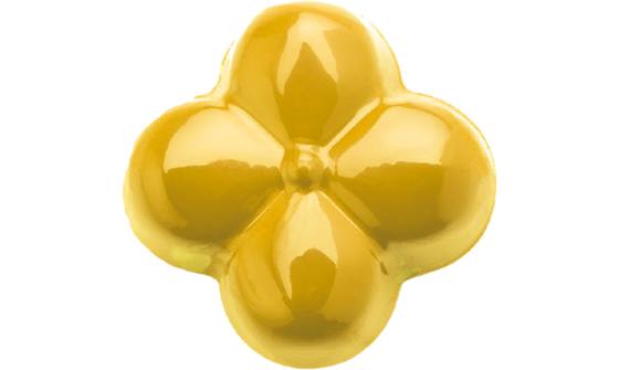 PowerFlowers geel 50 gram