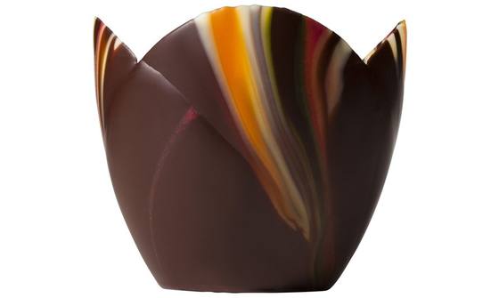 Tulip cups chocolade pastel
