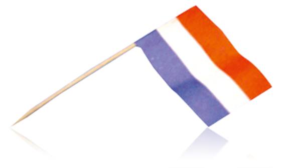 Vlagprikker nederland 5x144st