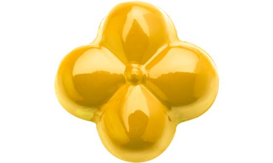 PowerFlowers geel 500 gram