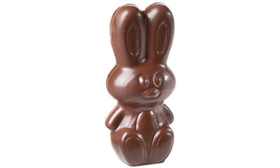Chocoladevorm magneet konijn